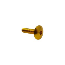 Βίδα Αλουμινίου Πλατί Κεφάλι 6mm X 25mm Χρώμα Χρυσαφί