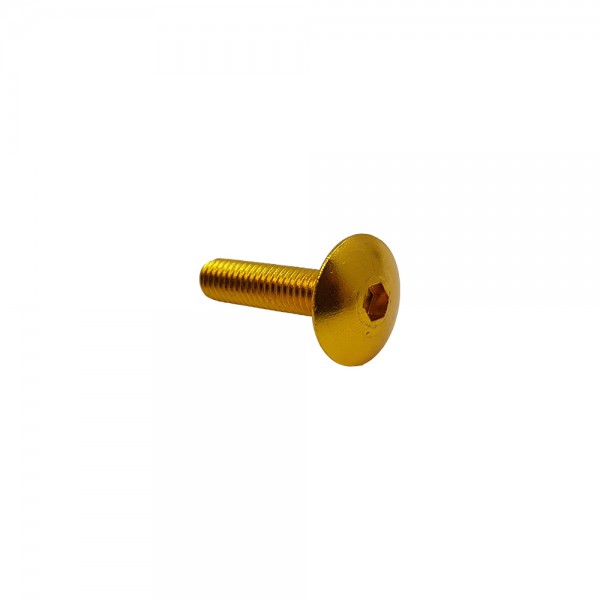 Βίδα Αλουμινίου Πλατί Κεφάλι 6mm X 25mm Χρώμα Χρυσαφί