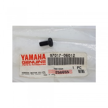 Βίδα Γνήσια Yamaha 97017-06012